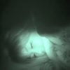 赤外線カメラ片手に寝てる女を夜這いしろっ